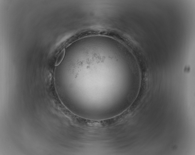 X0000111041302200906251352