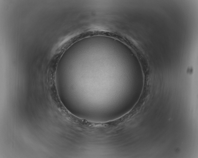 X0000111041303200906251352
