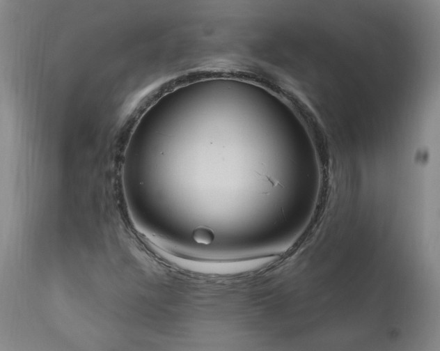 X0000111041304200906251352