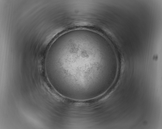 X0000111041305200906251352