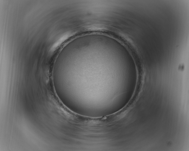 X0000111041306200906251352