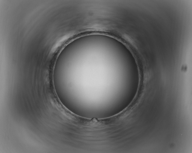 X0000111041307200906251352