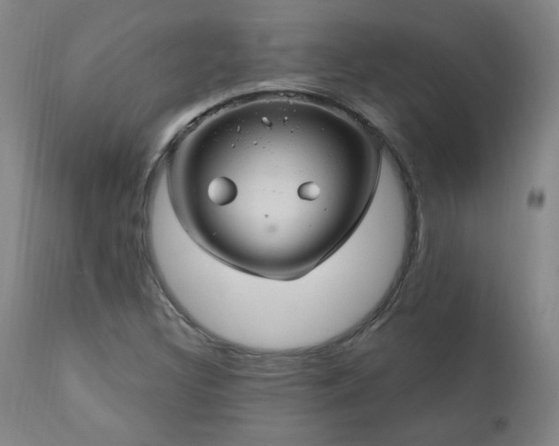 X0000111041308200906251352