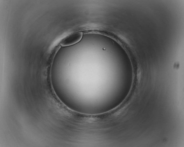 X0000111041309200906251352