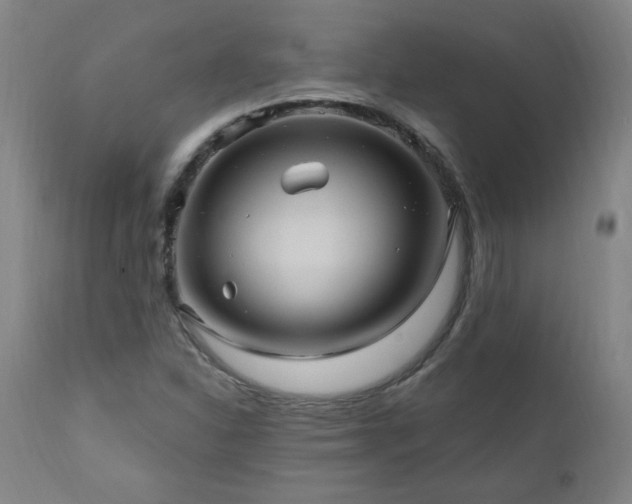 X0000111041310200906251352