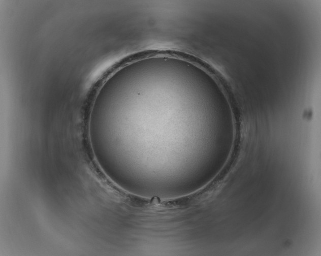 X0000111041311200906251352