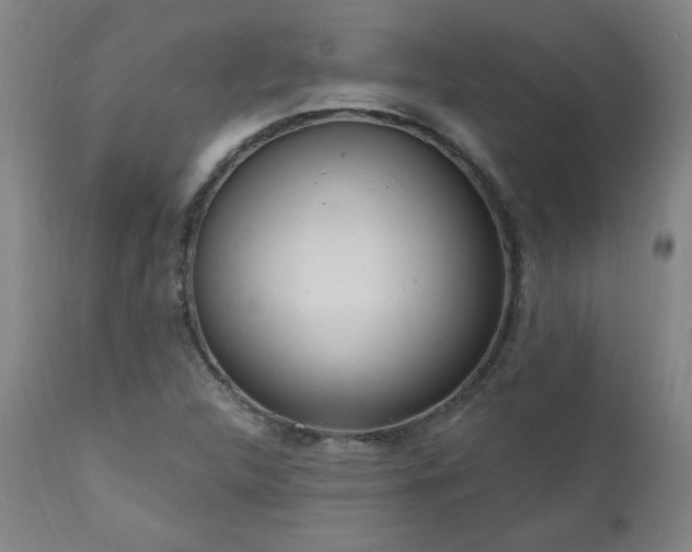 X0000111041312200906251352