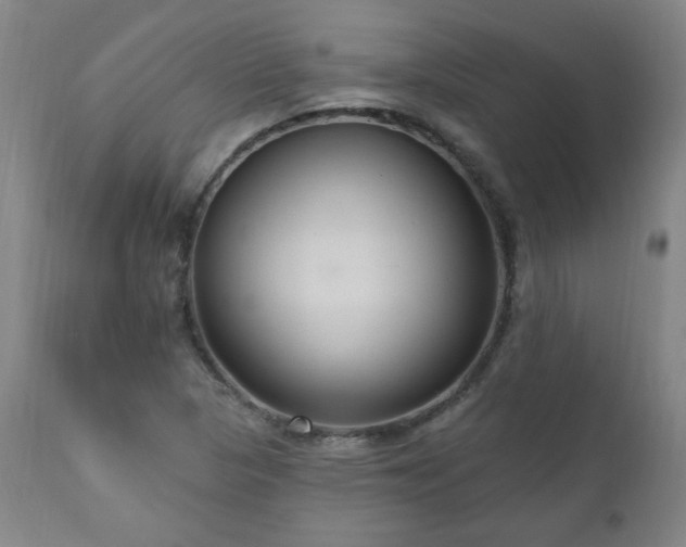 X0000111041313200906251352