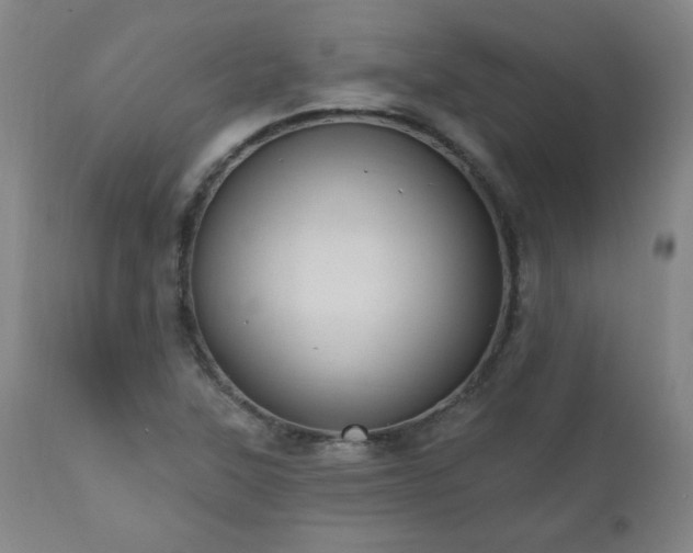 X0000111041315200906251352