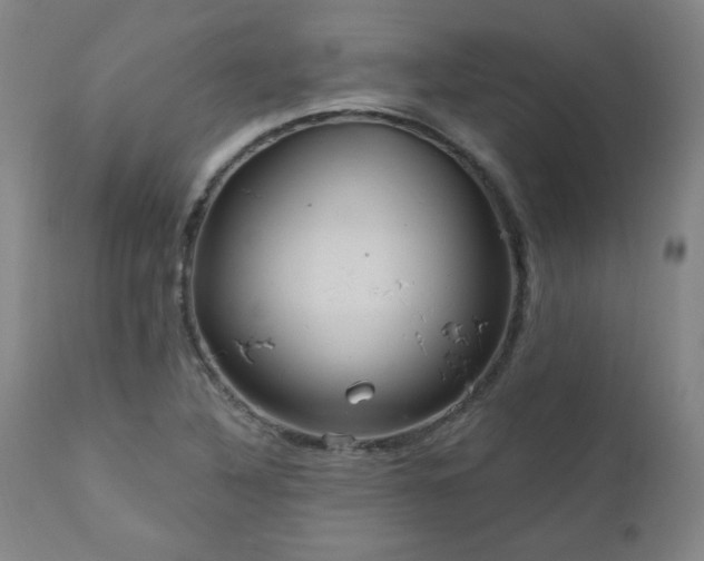 X0000111041316200906251352