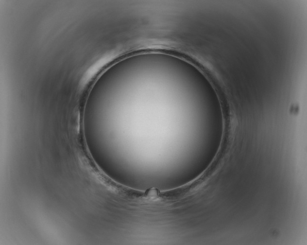 X0000111041317200906251352
