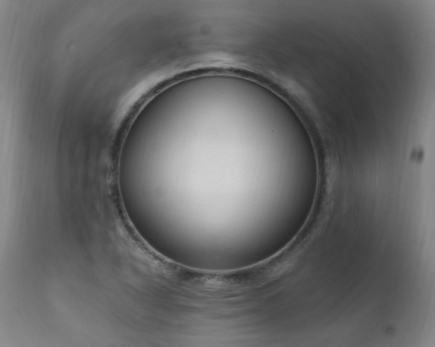 X0000111041318200906251352