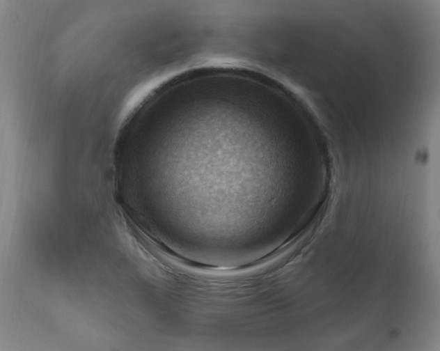 X0000111041319200906251352