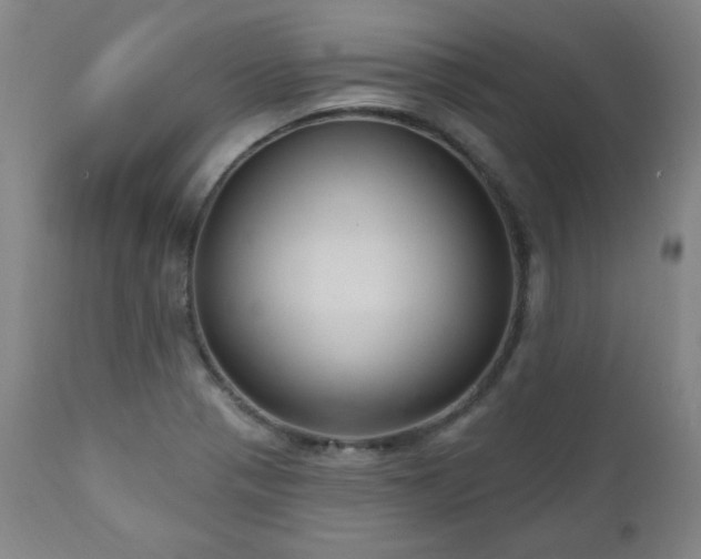 X0000111041321200906251352