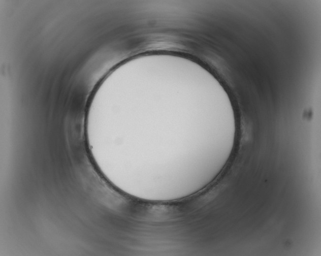 X0000111041322200906251352