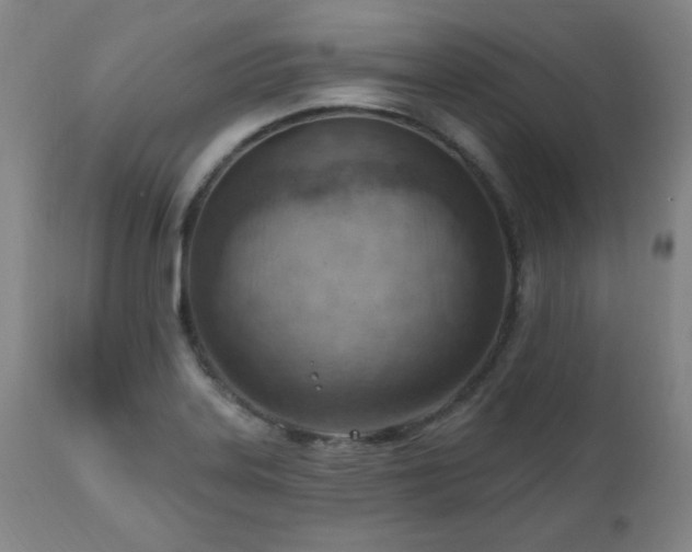 X0000111041323200906251352