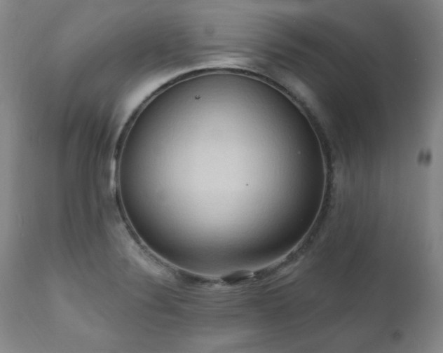 X0000111041324200906251352