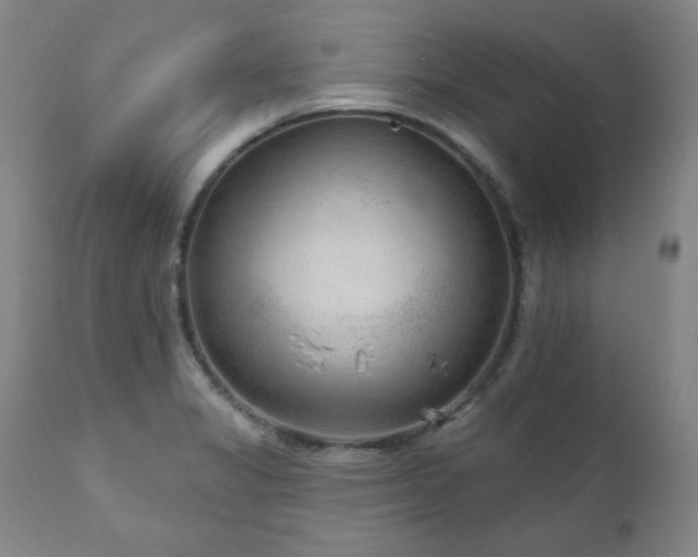 X0000111041325200906251352