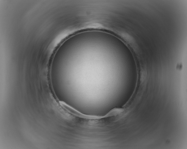 X0000111041326200906251352