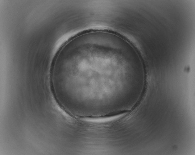 X0000111041327200906251352