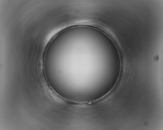 X0000111041328200906251352