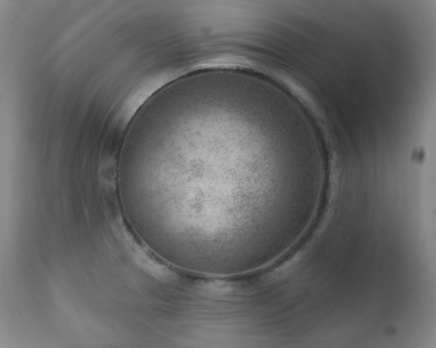 X0000111041329200906251352