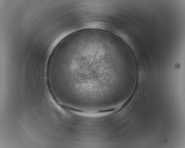 X0000111041331200906251352