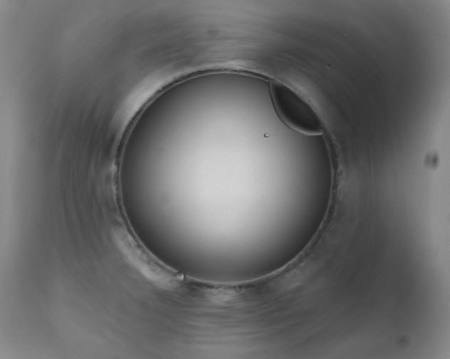 X0000111041332200906251352