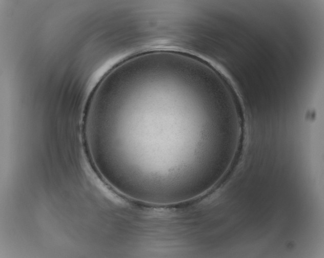 X0000111041333200906251352