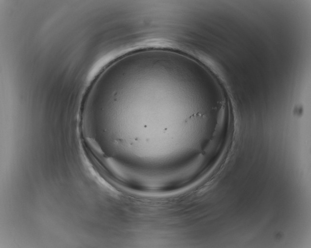 X0000111041334200906251352