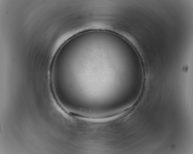 X0000111041335200906251352