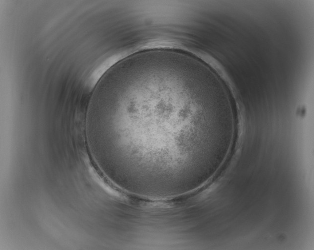 X0000111041337200906251352