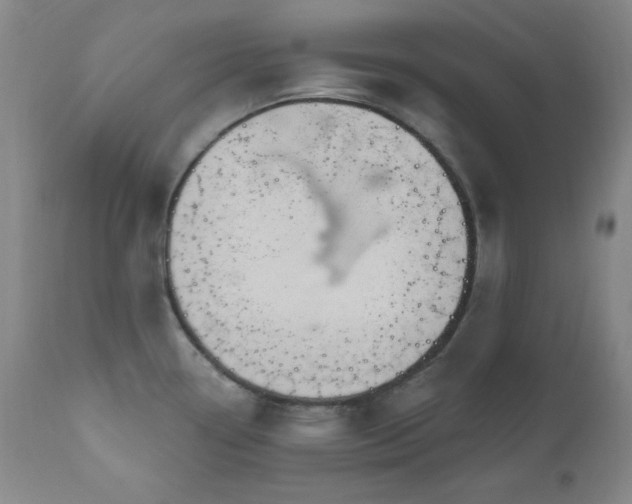 X0000111041338200906251352