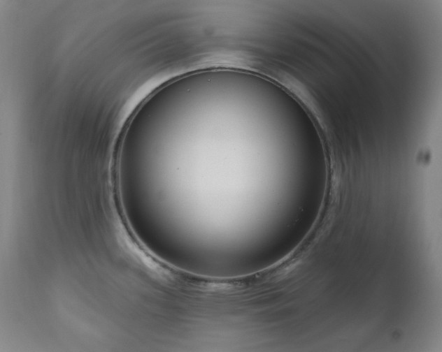 X0000111041339200906251352