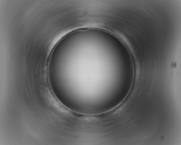 X0000111041340200906251352