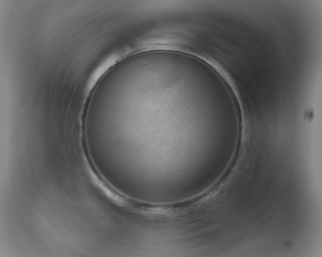 X0000111041341200906251352