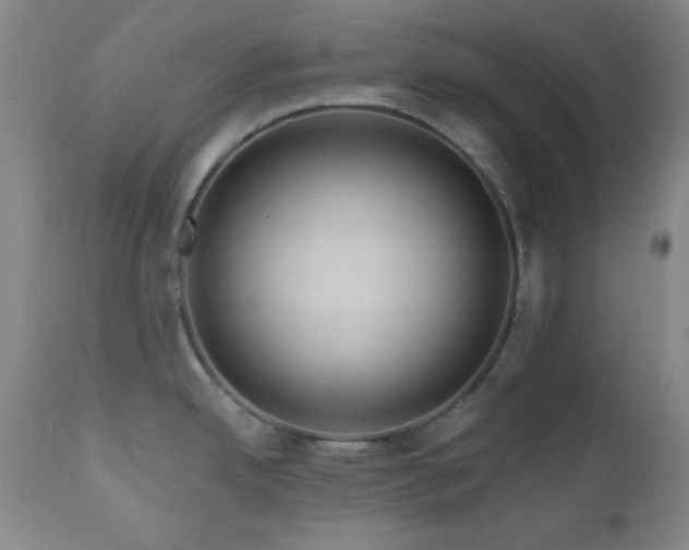X0000111041342200906251352