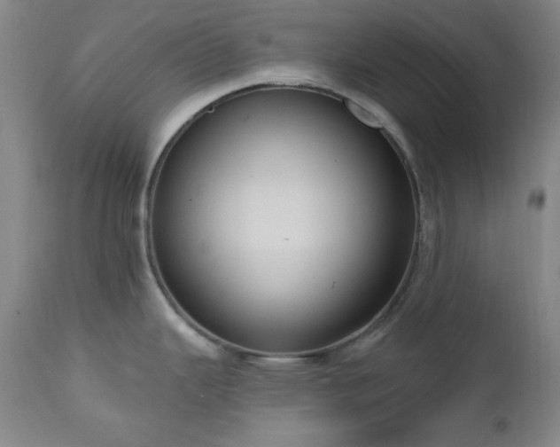 X0000111041343200906251352