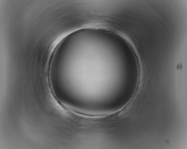 X0000111041344200906251352