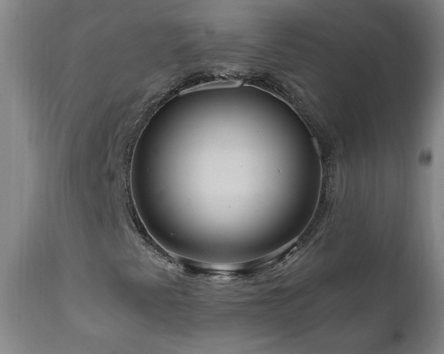 X0000111041345200906251352