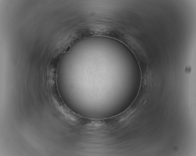 X0000111041346200906251352
