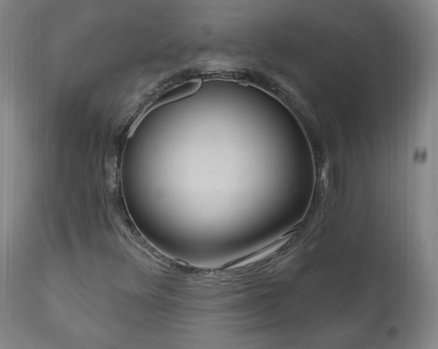 X0000111041348200906251352