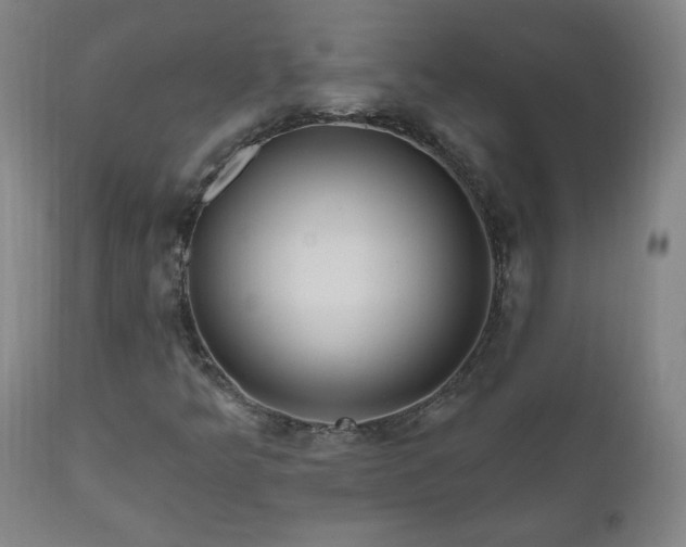 X0000111041349200906251352