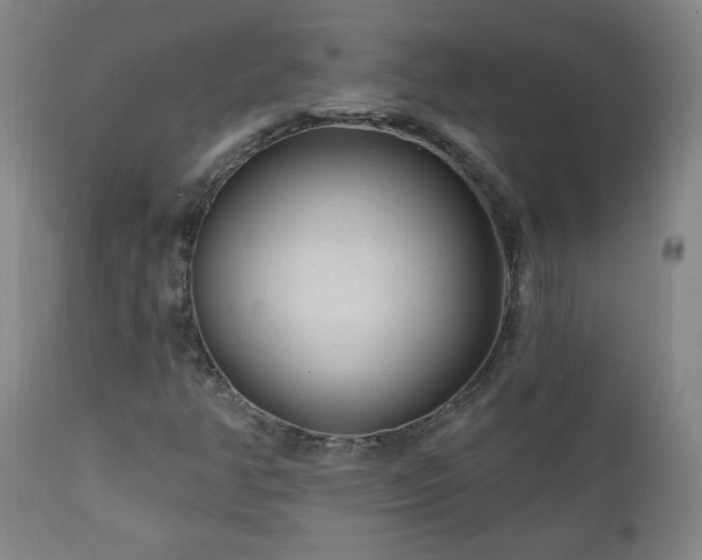 X0000111041350200906251352