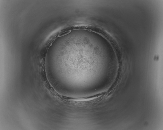 X0000111041351200906251352