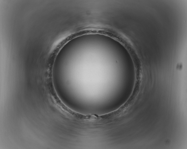 X0000111041352200906251352