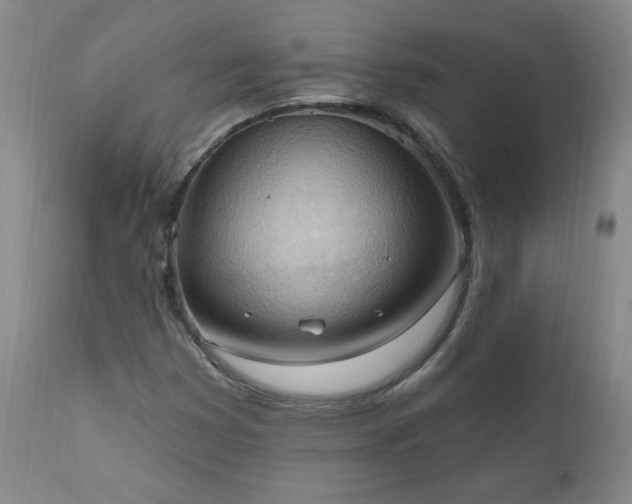 X0000111041353200906251352