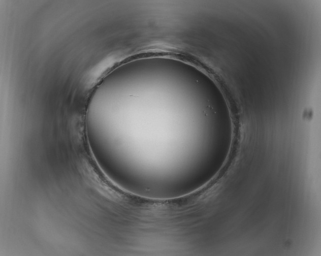 X0000111041355200906251351