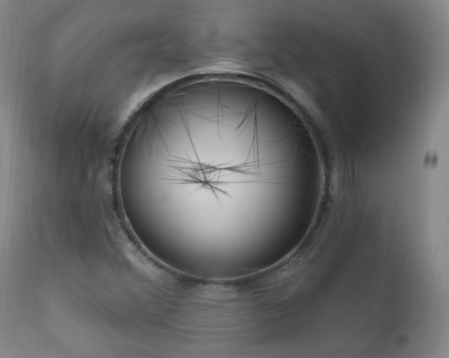 X0000111041356200906251351