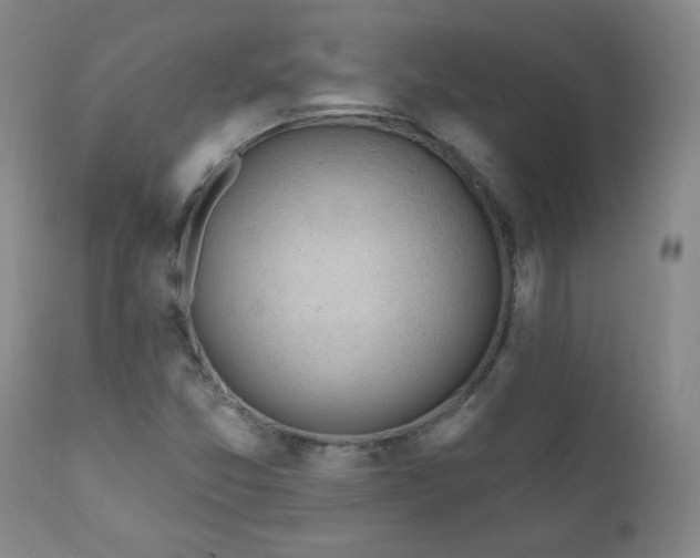 X0000111041357200906251351